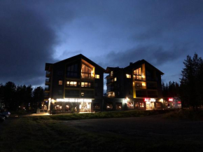 Levin Kunkku B penthouse Kittilä